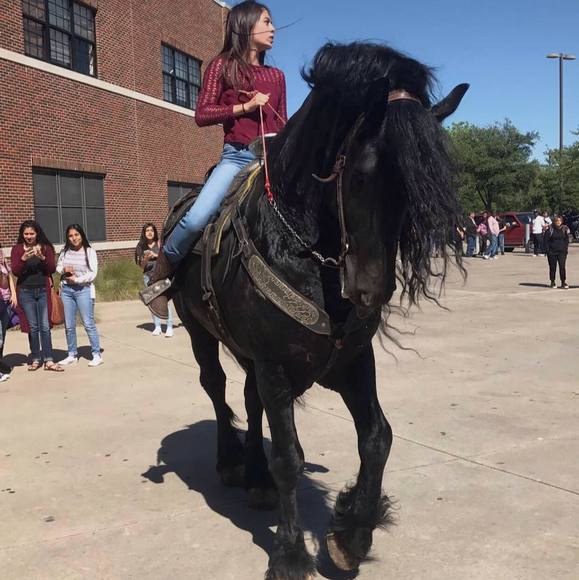 Meet your Posher, Hanna - Picture 1 of 1